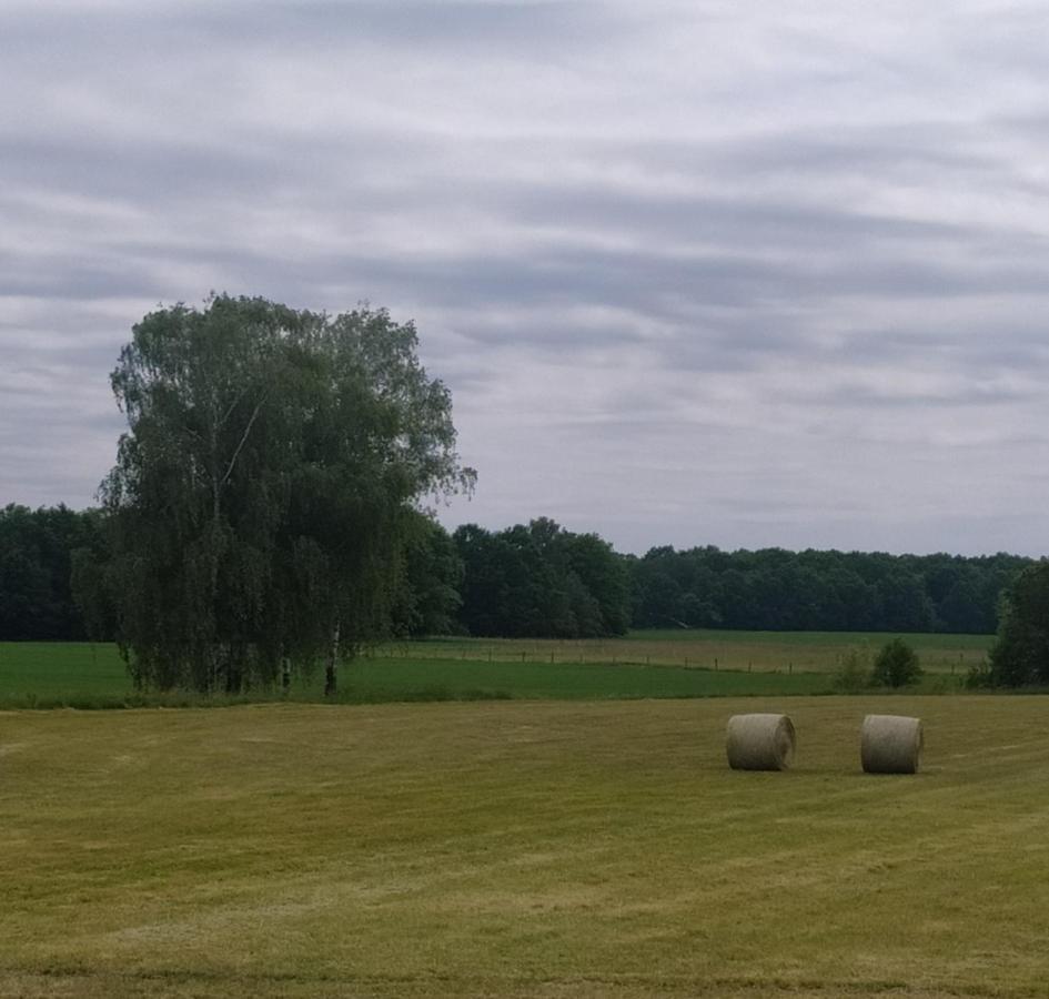 Ubytovani U Sobotku Třeboň Esterno foto