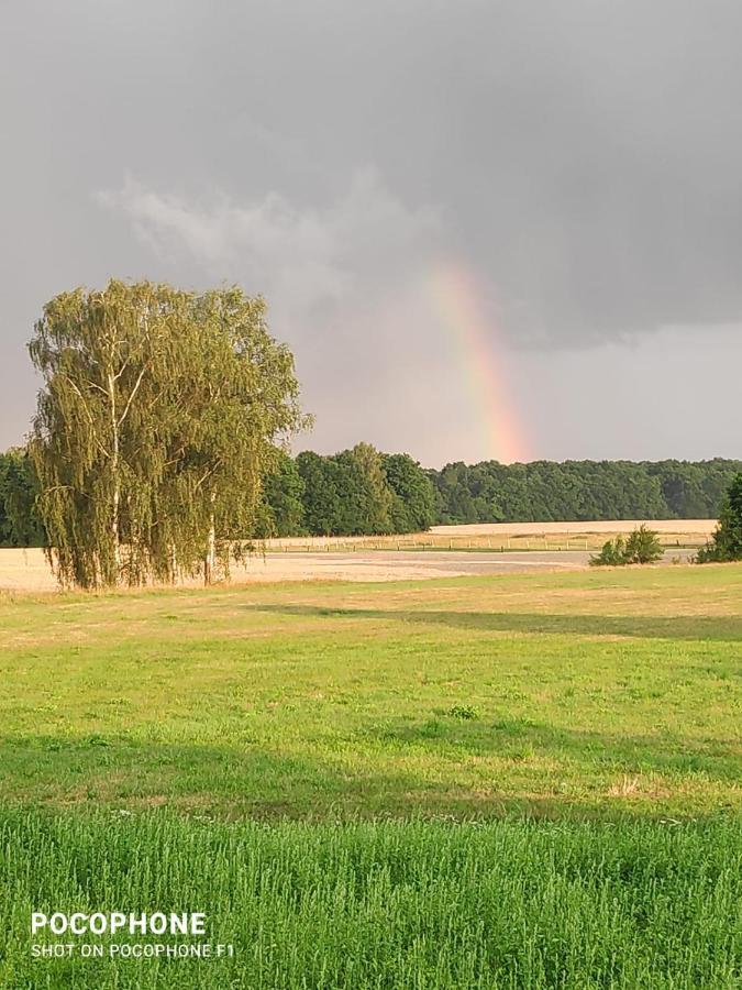 Ubytovani U Sobotku Třeboň Esterno foto